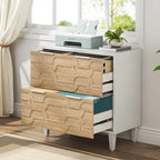 2-Drawer Lateral File Cabinet for A4/Letter/Legal Size, White & Grey Office Storage Cabinet Printer Stand